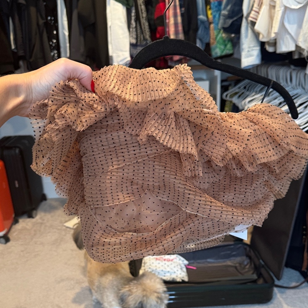 Polka Dot Tulle ruffle Zara top